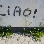 Capsela bursa-pastoris (foto G. Vacirca, Rivoli)